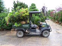 Kawasaki Mule