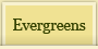 Evergreens