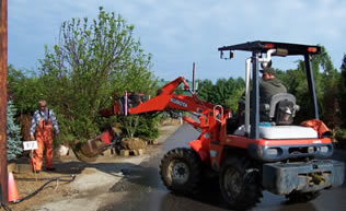 Kubota Boss